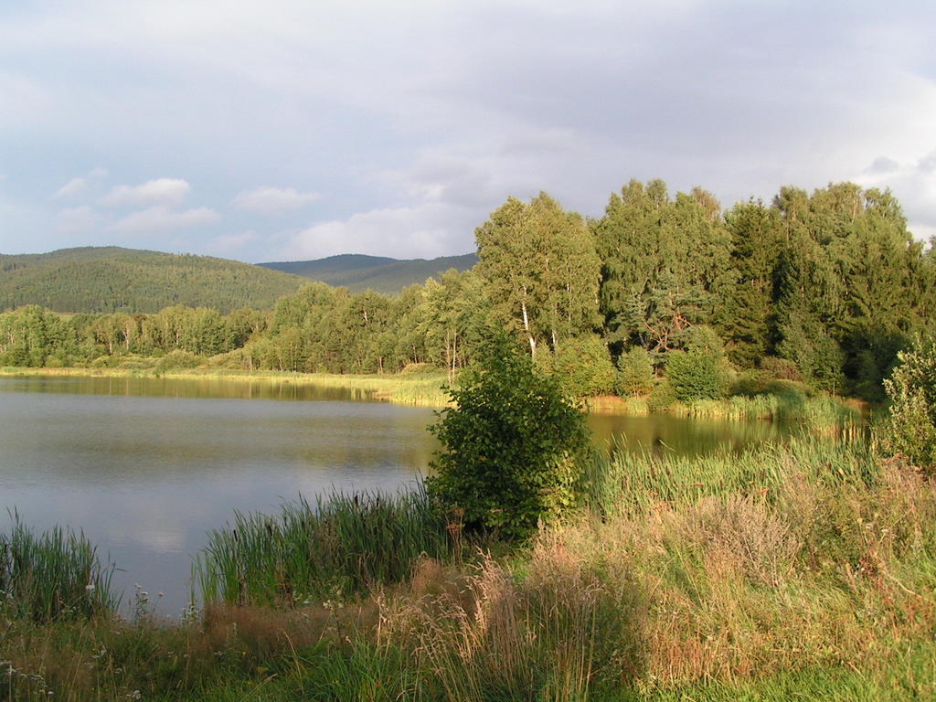 Penzion Mansky Dvur Dolni Zandov Exterior foto